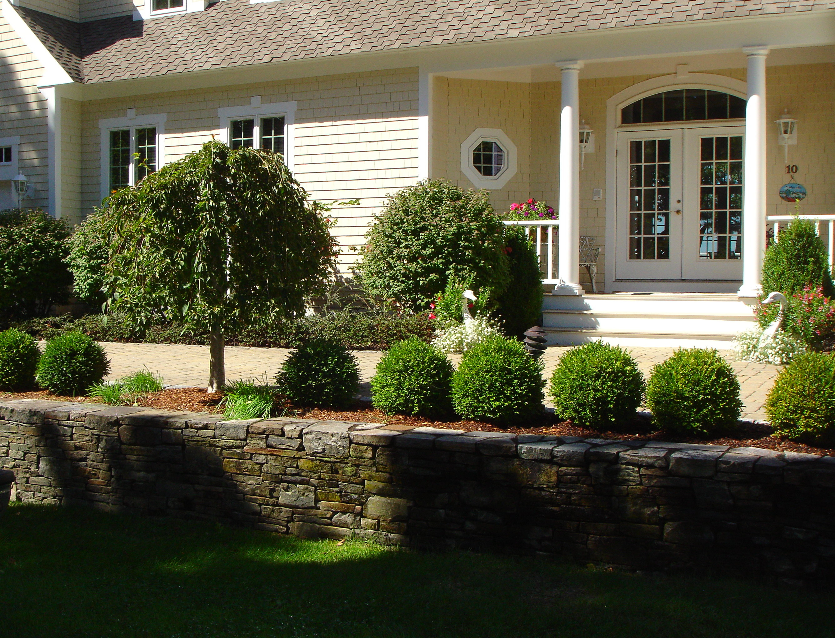 Shrubs