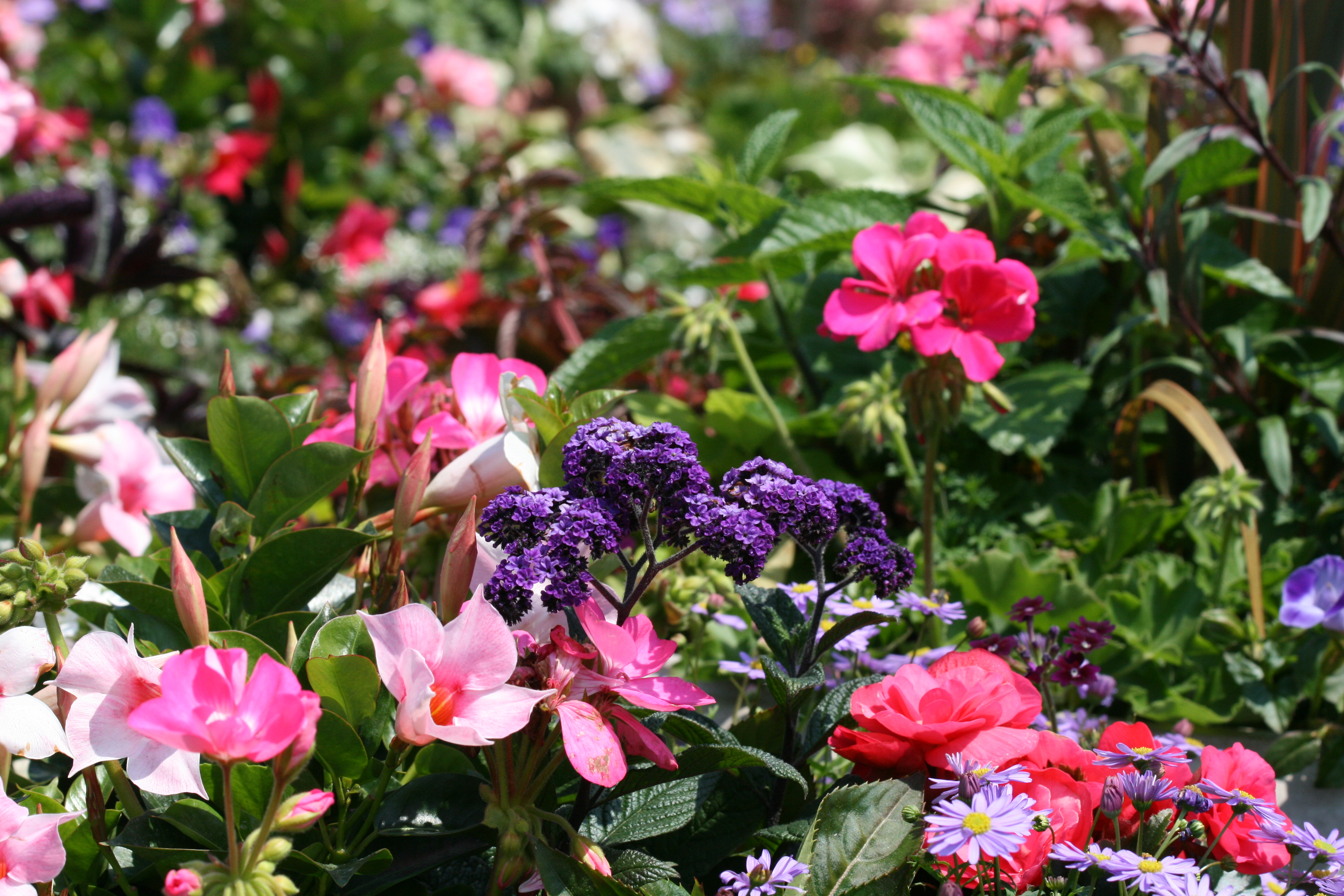 Gardens